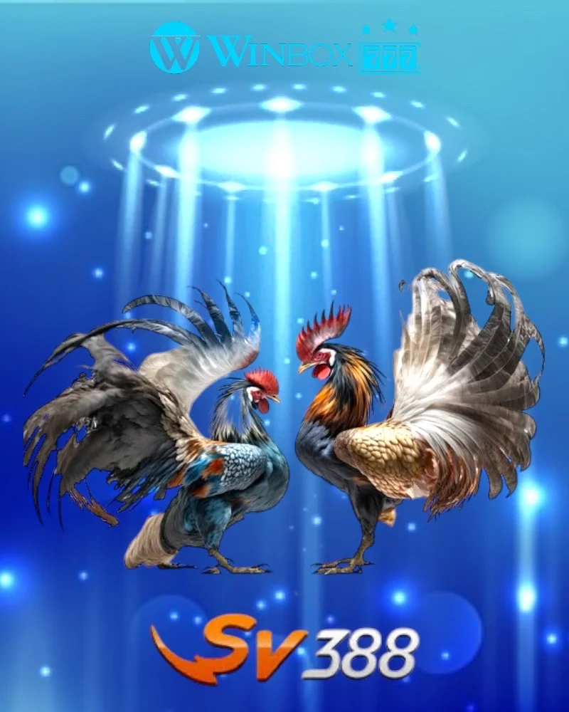 WINBOX CASINO GAMES