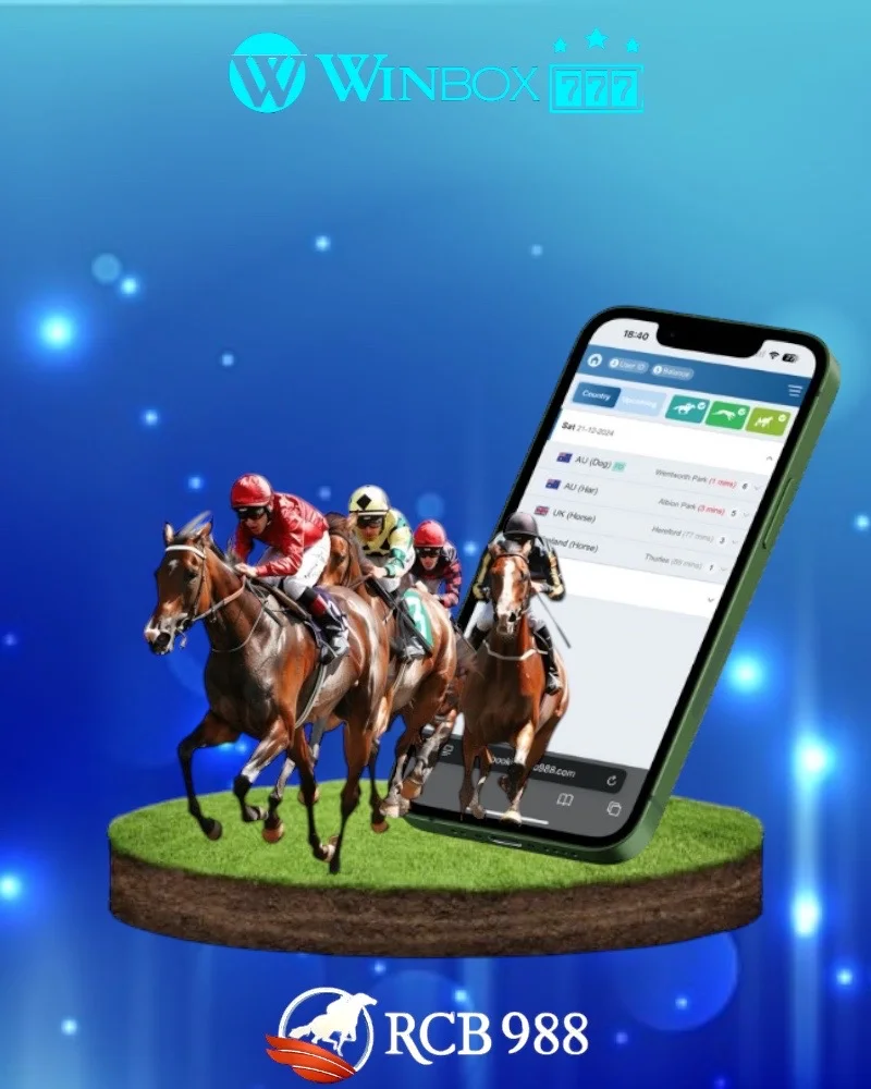 WINBOX SPORTS BET